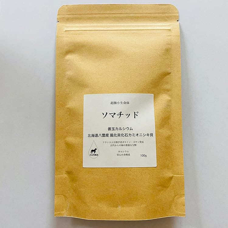 Amazon.co.jp: 古代ソマチッド 石タイプ100g ソマチッド SOMACHI
