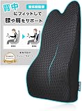WISELABO 【整体師が監修】 ランバーサポート 腰 クッション 車 腰当て 背もたれ 背中 低反発 カークッション 運転席 椅子 メッシュ生地 （ワイズラボ）