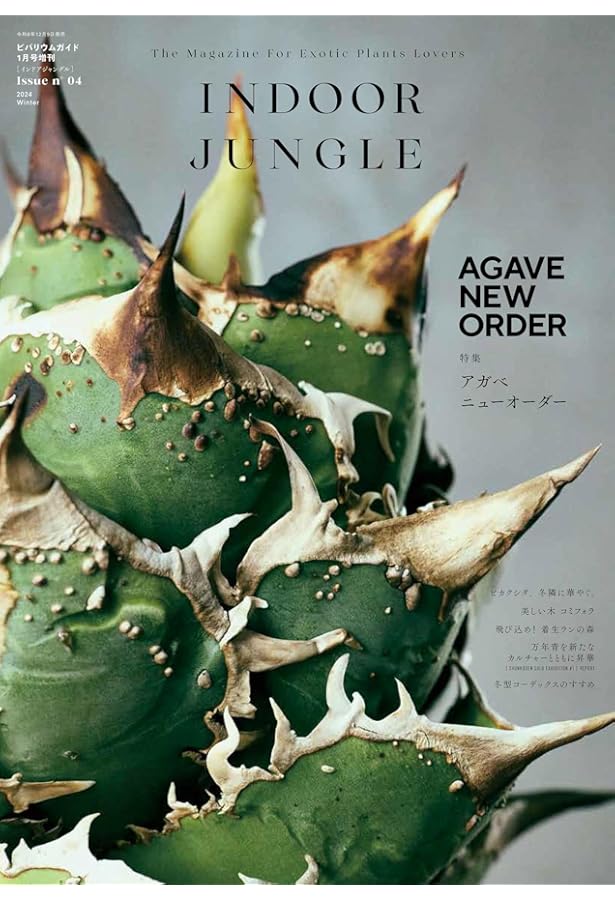 INDOOR JUNGLE（インドアジャングル） No.01 | INDOOR JUNGLE 編集部