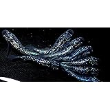 Amazon メダカ スーパー魔王改 稚魚10匹 ノーブランド品 熱帯魚 観賞魚 通販