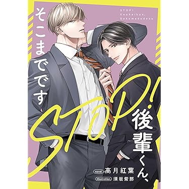 Amazon.co.jp 最新リリース: ボーイズラブノベルス の新着ランキングです。