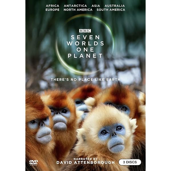 Amazon.co.jp: BBC The Life of Birds -鳥の世界- DVD-BOX (10