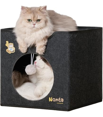 Amazon | 人気No.1猫ベッド！サークル型ラタン風 キャットハウス 