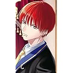 黒猫と魔女の教室 iPhoneSE/5s/5c/5(640×1136)壁紙 カストル・ジェミニ