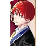 黒猫と魔女の教室 XFVGA(480×854)壁紙 カストル・ジェミニ