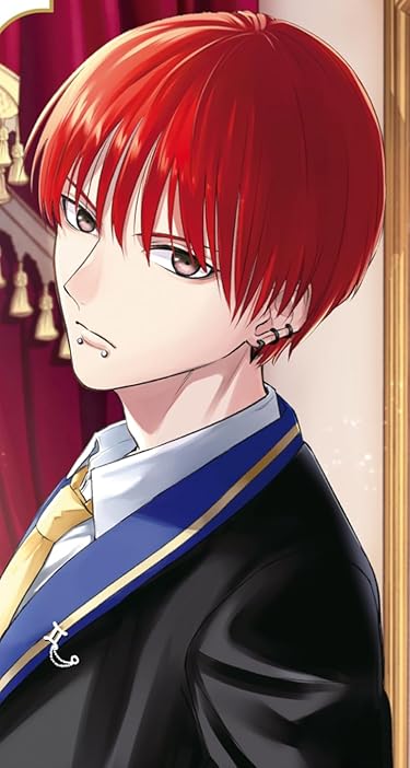 2026春アニメ - カストル・ジェミニ