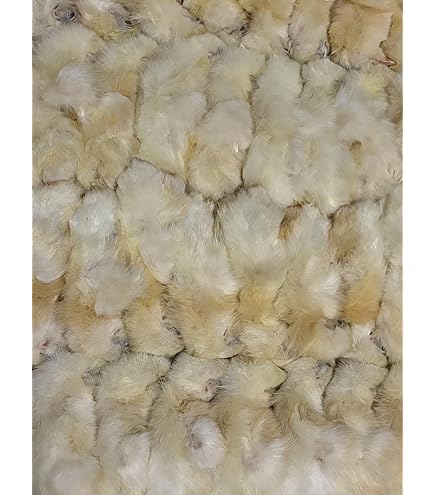 冷凍ひよこ 冷凍】冷凍ヒヨコ 10羽パック（T2）【クール便発送】【常温商品との同