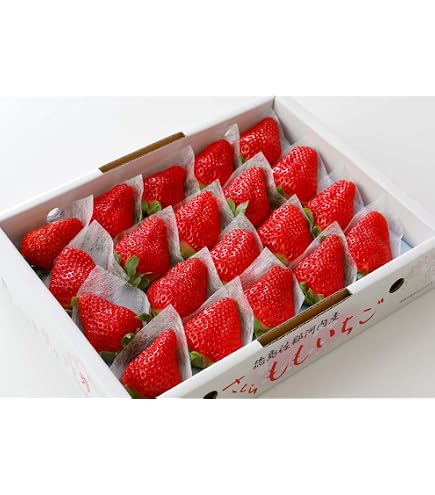 Amazon.co.jp: 【最高糖度17度】徳島県産 さくらももいちご 1パック