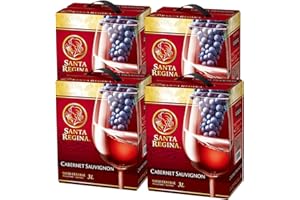 サンタ・レジーナ カベルネソーヴィニヨン ケース売り 箱入りワイン(バッグインボックス) [ 3000mlx4本 ]