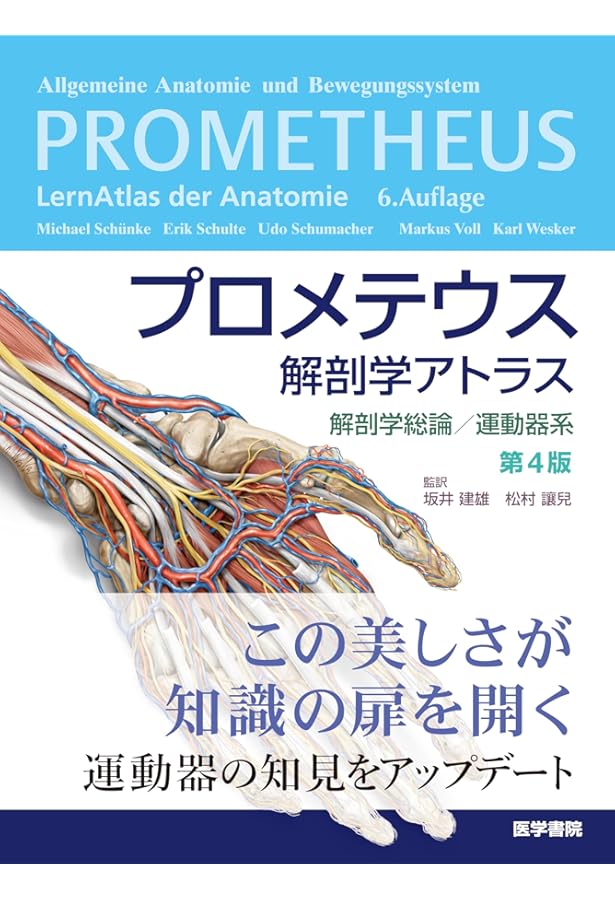 解剖学 第6版 (標準理学療法学・作業療法学専門基礎分野) | 野村 嶬