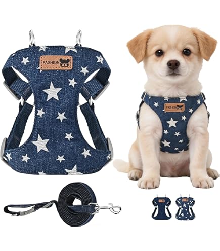 Amazon.co.jp: ブルドス (Bulldoss) チョークハーネス その他 ブラウン