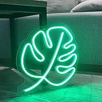 812p1LF-zjL._AC_UL210_SR210,