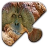 Jigsaw Puzzles Free Game - Chapter 36