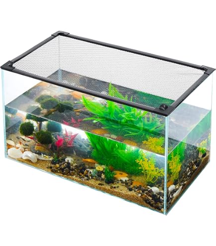 Amazon.co.jp: FRP水槽用容器 クリア : ペット用品
