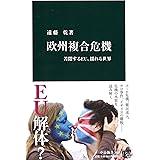 欧州複合危機 - 苦悶するEU、揺れる世界 (中公新書 2405)