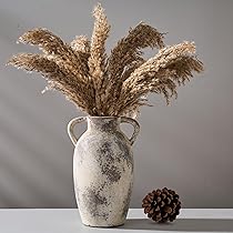 812uNC9SQUL._AC_UL210_SR210,