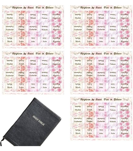 詳訳聖書 新約 Amazon.co.jp: 詳訳聖書新約 いのちのことば社 貴重 : 文房具