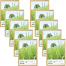 ハクバ HAKUBA 木製額縁 ピクスリア A3サイズ 10枚セット Amazon | ハクバ 【Amazon.co.jp限定】HAKUBA 木製額縁