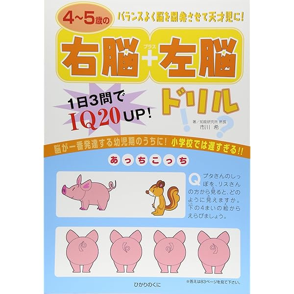 小５国語　塾なし　クロスカリキュラム　教材　右脳教育 小5国語 塾なし クロスカリキュラム 教材 右脳教育 小5国語 塾