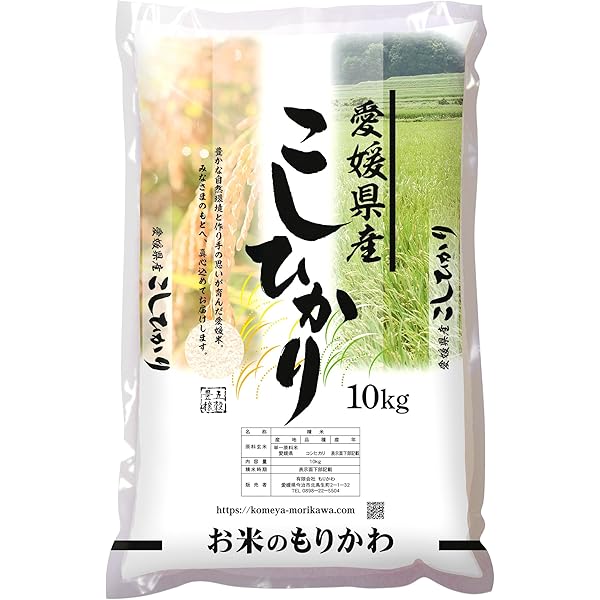 千葉県産 白米 こしひかり 10kg 5kg×2 令和5年産