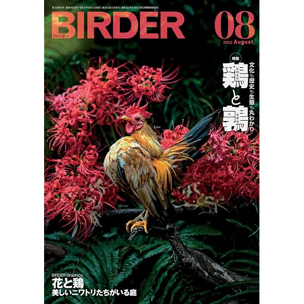 BIRDER (バーダー) 2025年 11月号 [雑誌] | BIRDER編集部 | 趣味
