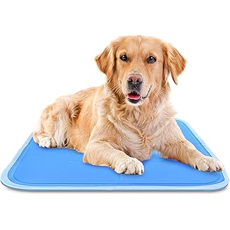 long dog mat