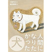 81350se6XdL._AC_UL210_SR210,