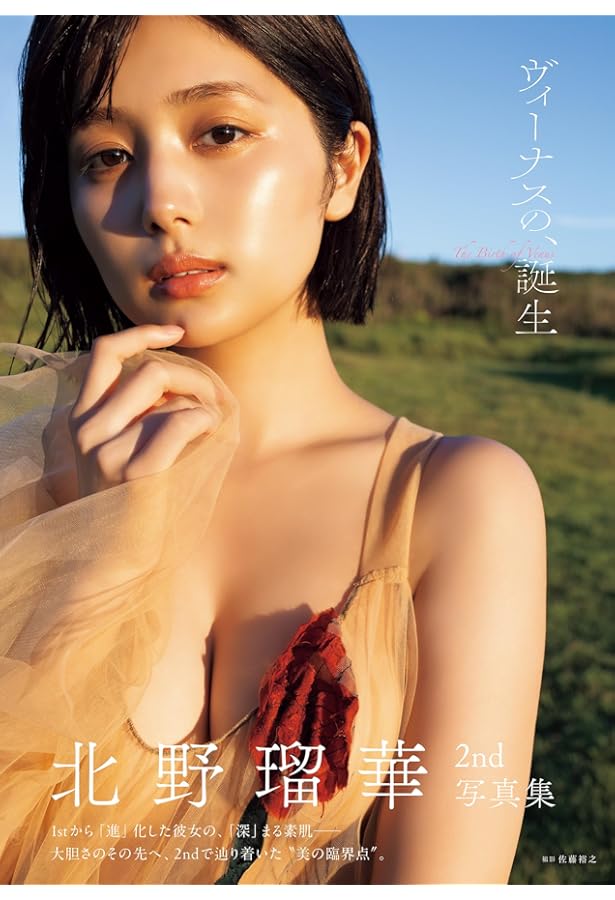 Amazon.co.jp: いけちゃん写真集 Afterglow : 佐藤 裕之: 本