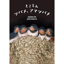 ツバメのせかい | 長谷川 克, 森本 元 |本 | 通販 | Amazon