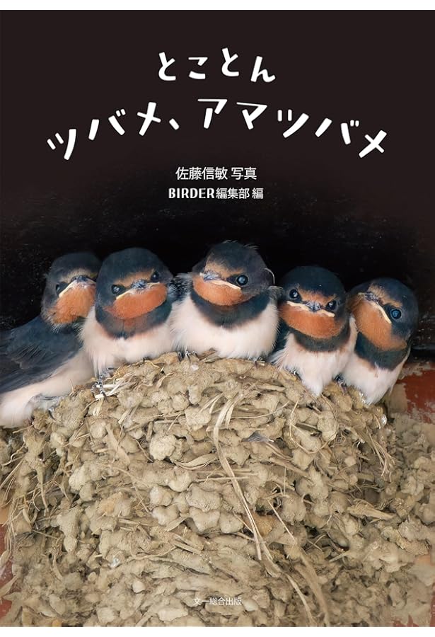 BIRDER 2023年 04 月号 [雑誌] |本 | 通販 | Amazon