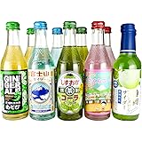 静岡ご当地サイダー・コーラセット （茶コーラ、富士山、わさびジンジャー、ちびまるさくら、マスクメロン）　240ml 5種 10本セット 木村飲料 地サイダー 瓶