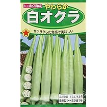 813GRH1O35L._AC_UL210_SR210,