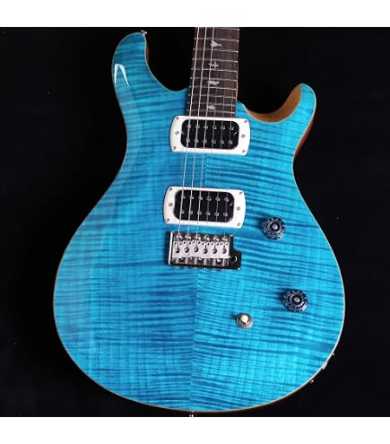 Amazon | PRS SE Custom22 Semi Hollow Black Gold Burst エレキギター