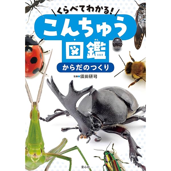 くらべてわかる!こんちゅう図鑑(全4巻) | 須田研司, グループ