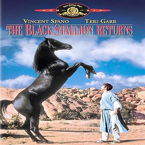 Amazon.co.jp: The Black Stallion [DVD] : DVD
