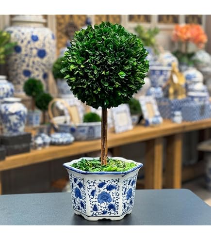 Amazon｜天然保存ツゲの木のトピアリー ポット13インチ 美しい緑と植物