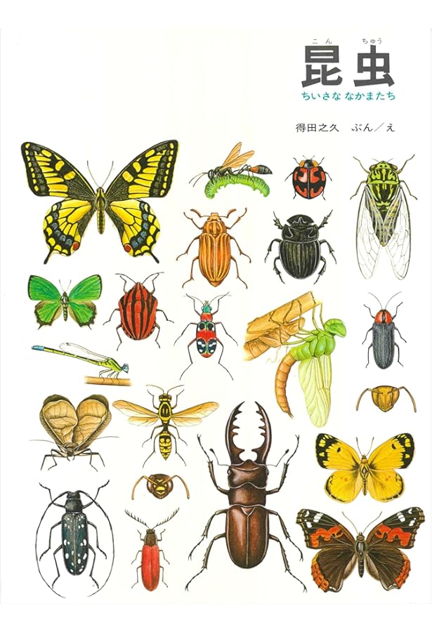 夏の虫 夏の花 645種の身近な生きものの世界 (福音館の科学シリーズ