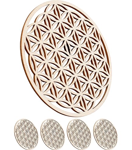 ゼンレスゾーンゼロ ホヨランド コスーター 5点セット ゼンレスゾーンゼロ ホヨランド コスーター 5点セット ゼンゼロ ゼン