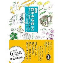 野草の名前 春 和名の由来と見分け方 (ヤマケイ文庫) | 高橋 勝雄 |本