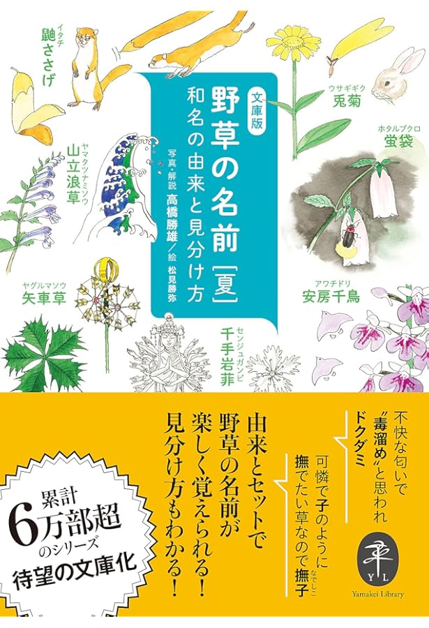 野草の名前 春 和名の由来と見分け方 (ヤマケイ文庫) | 高橋 勝雄 |本