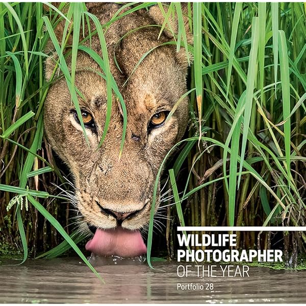 Amazon | Wildlife Photographer of the Year Portfolio 22 | Cox Amazon | Wildlife Photographer of the Year Portfolio 22 | Cox