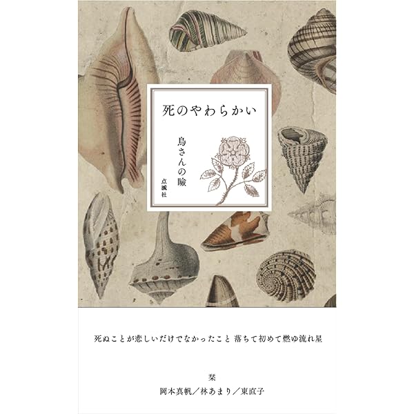 incomplete album | 展翅零 |本 | 通販 | Amazon