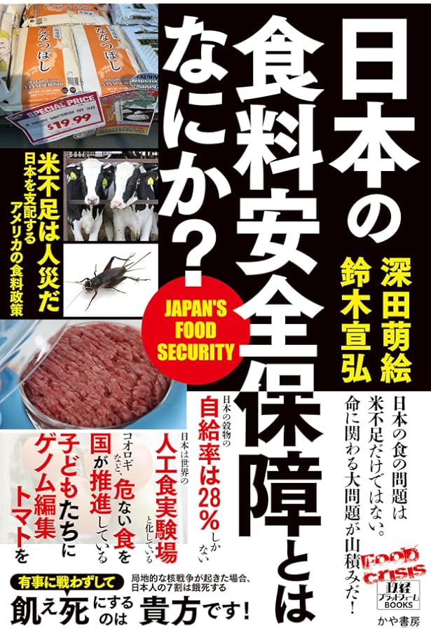 Amazon.co.jp: The Big Plot（日本語版） : ジェイソン・ホー, 深田萌