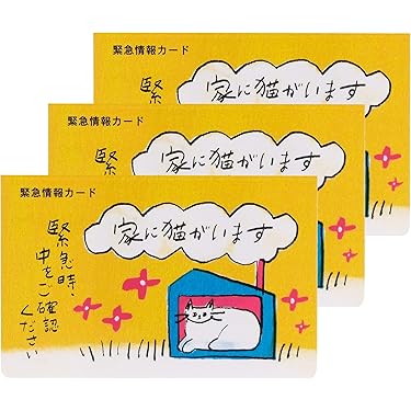Amazon.co.jp 人気ギフトランキング: 単語帳・単語カード で、ギフトの