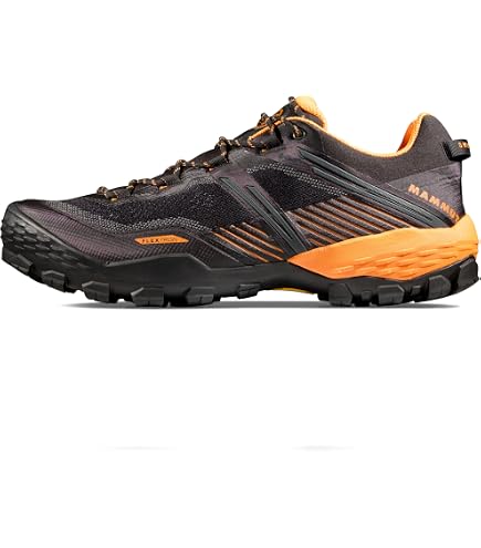 Amazon.co.jp: [MAMMUT] メンズ サーティグ II ロー GTX Sertig II Low