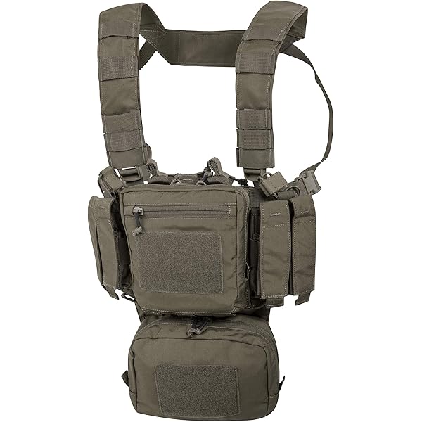 Amazon.co.jp: [NEW HORIZON] Blue Force Gear Ten-Speed SF Chest Rig