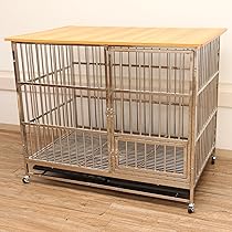 8140FpzQ1KL._AC_UL210_SR210,