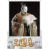 人形劇 三国志 全集 五 (新価格) [DVD]