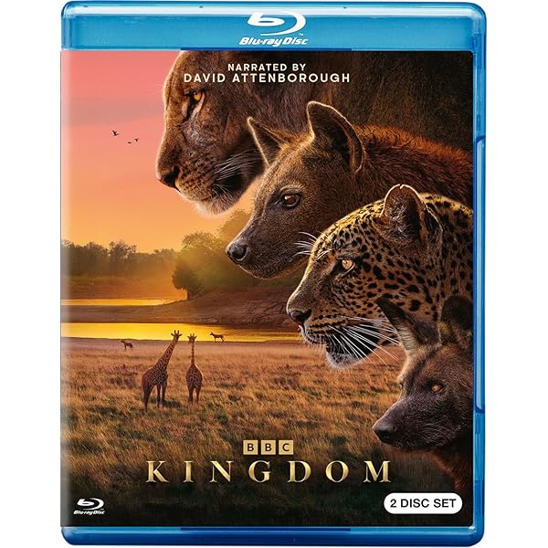 Amazon.co.jp: Africa : DVD