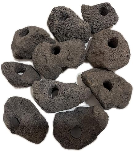 大迫力　溶岩石　インテリア Amazon | モデルノ ラ テール 溶岩石 穴あき アクアリウム オブジェ